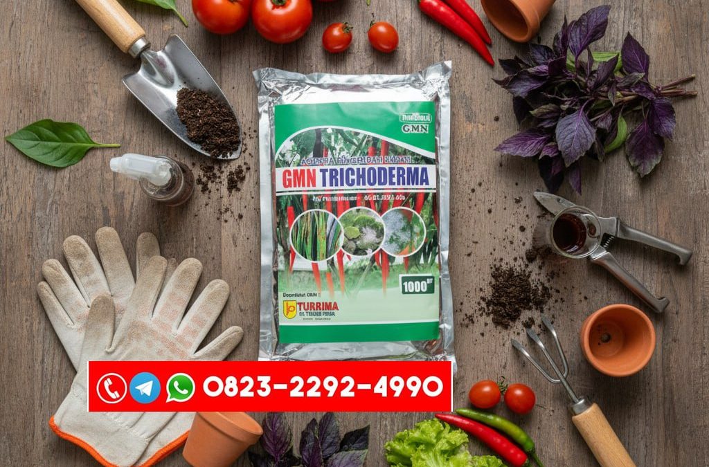 TERPERCAYA!!! TELP! 0823-2292-4990, PRODUSEN Pupuk awal tanaman Padi cakrabuana Aceh Utara, TOKO Pupuk awal tanaman Padi ciherang Pidie