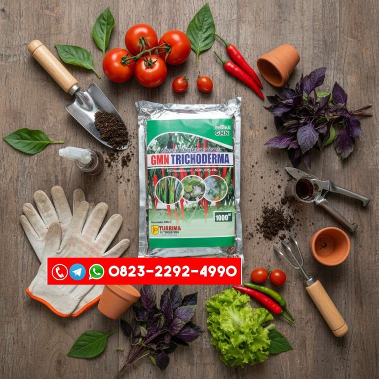TERPERCAYA!!! TELP! 0823-2292-4990, PRODUSEN Pupuk awal tanaman Padi cakrabuana Aceh Utara, TOKO Pupuk awal tanaman Padi ciherang Pidie