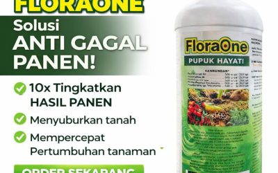 ALAMI!!! TELP! 0812-2882-4834, JUAL Pupuk dasar jagung manis Alor, AGEN Pupuk jagung FLORAONE Malaka, DISTRIBUTOR Pupuk jagung fase vegetatif Ngada
