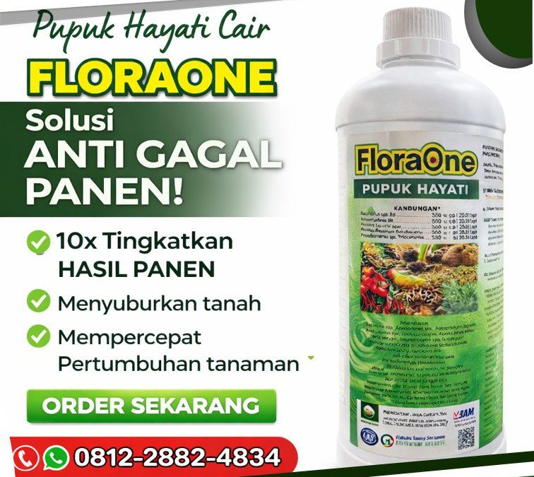 ALAMI!!! TELP! 0812-2882-4834, JUAL Pupuk dasar jagung manis Alor, AGEN Pupuk jagung FLORAONE Malaka, DISTRIBUTOR Pupuk jagung fase vegetatif Ngada