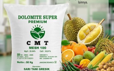 PROMO AMBYAR!!! TELP! 0823-2292-4990, PRODUSEN pupuk dolomit terbaik untuk tanah asam Tanjung Jabung Barat, TOKO pupuk dolomit untuk tanah sawah Kota Jambi