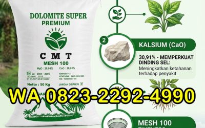 ALAMI!!! TELP! 0823-2292-4990, PABRIK Pupuk dolomit untuk jeruk Barito Utara, JUAL Pupuk dolomit untuk kelapa sawit Murung Raya