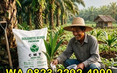 ASLI!!! TELP! 0823-2292-4990, DISTRIBUTOR pupuk dolomit untuk hortikultura Kota Sungai Penuh, PRODUSEN pupuk dolomit terbaik untuk tanah asam Tanjung Jabung Barat
