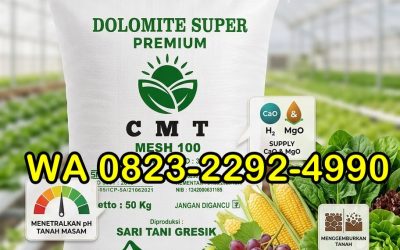 AMPUH!!! TELP! 0823-2292-4990, JUAL Pupuk dolomit untuk kelapa sawit Murung Raya, AGEN Pupuk dolomit untuk kopi Pulang Pisau