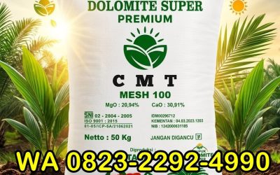TERPERCAYA!!! TELP! 0823-2292-4990, AGEN pupuk dolomit untuk perkebunan Batanghari, DISTRIBUTOR pupuk dolomit untuk hortikultura Kota Sungai Penuh