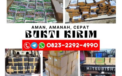 ORGANIK!!! TELP! 0823-2292-4990, PENYEDIA Pupuk dolomit untuk alpukat Seruyan, PABRIK Pupuk dolomit untuk jeruk Barito Utara