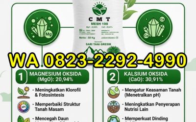 SEDANG PROMO!!! TELP! 0823-2292-4990, TOKO Pupuk dolomit untuk durian Palangkaraya, SUPPLIER Pupuk dolomit untuk mangga Katingan