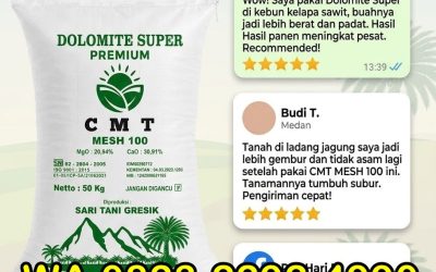 TERBUKTI!!! TELP! 0823-2292-4990, DISTRIBUTOR Pupuk dolomit untuk pertanian modern Kota Jambi, PRODUSEN pupuk dolomit harga pabrik Muaro Jambi
