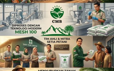 PROMO AMBYAR!!! TELP! 0823-2292-4990, DISTRIBUTOR Pupuk dolomit untuk kubis Kotawaringin Timur, PRODUSEN Pupuk dolomit untuk kentang Kapuas