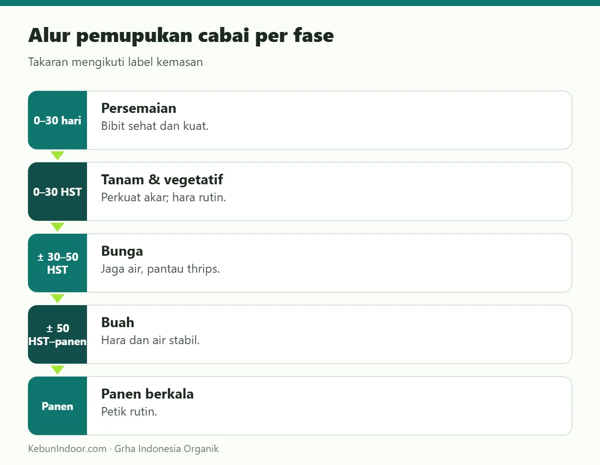 Alur pemupukan cabai dengan POC Ben Subur