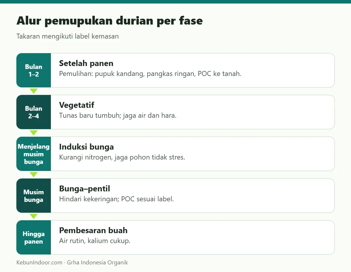 Alur pemupukan durian dengan Ben Subur Durian Premium