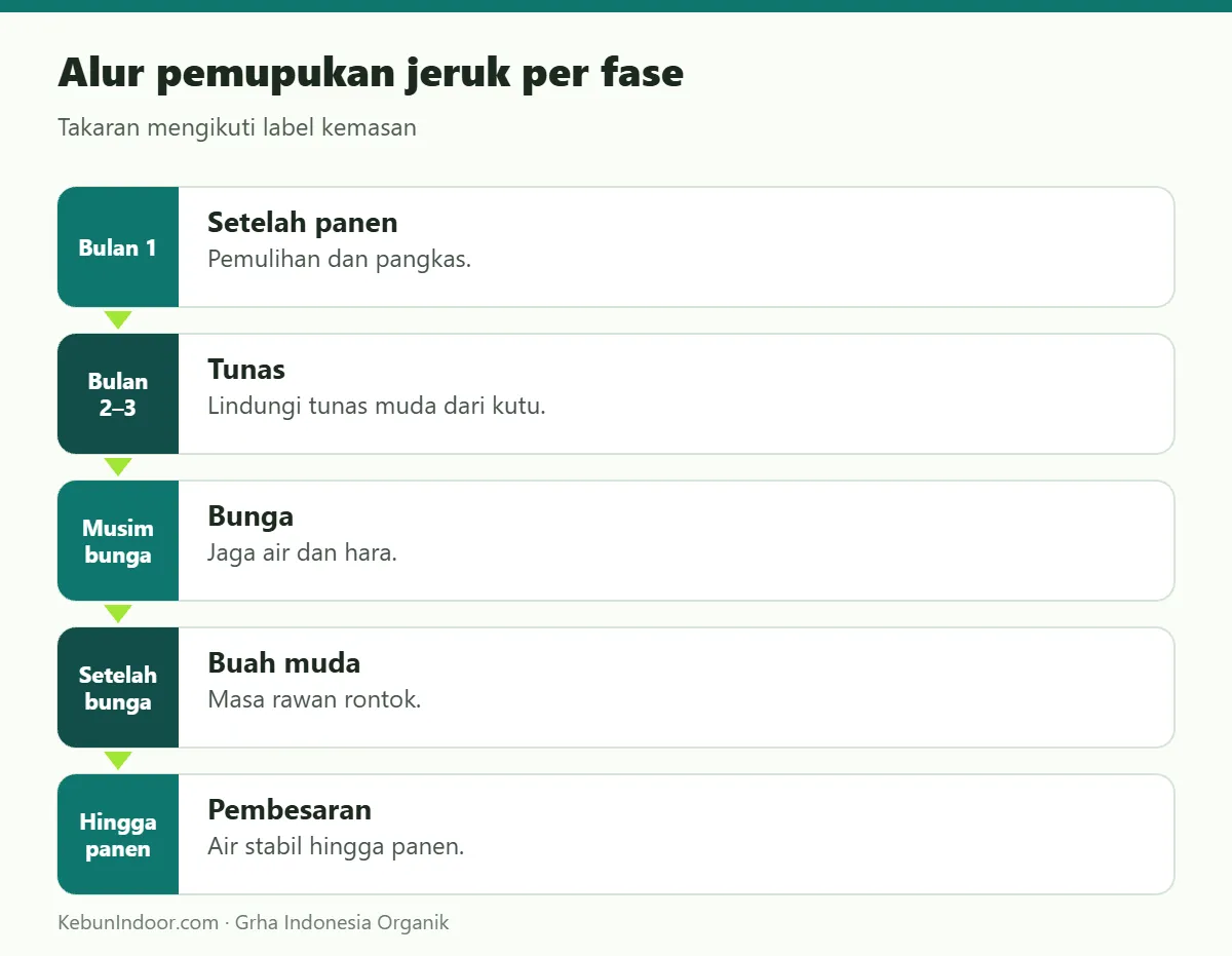 Alur pemupukan jeruk dengan POC Ben Subur untuk Jeruk
