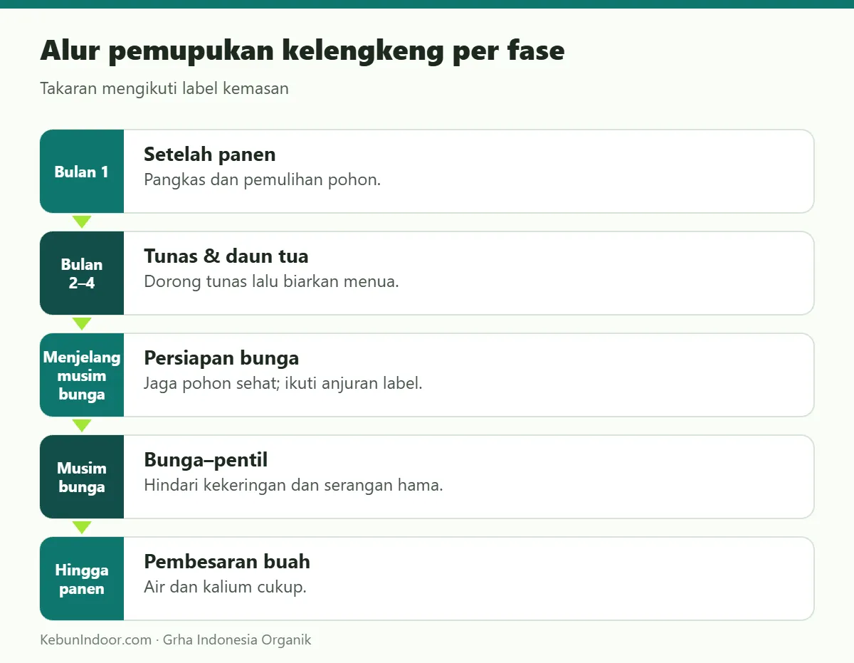 Alur pemupukan kelengkeng dengan POC Ben Subur untuk Kelengkeng