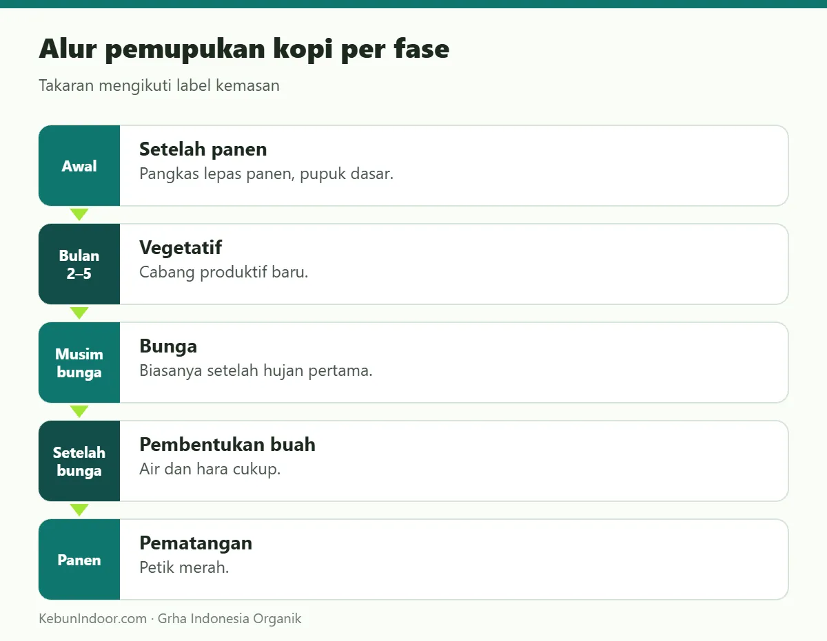 Alur pemupukan kopi dengan POC Ben Subur untuk Kopi