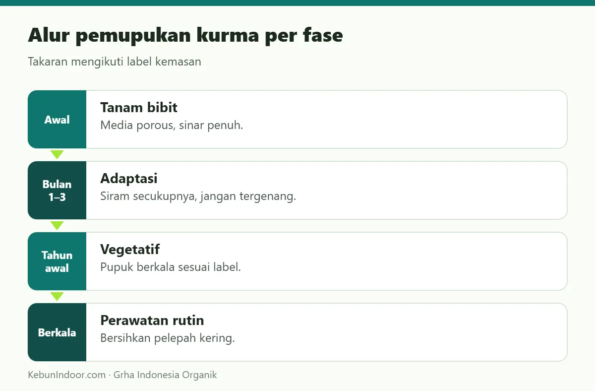 Alur pemupukan kurma dengan POC Ben Subur untuk Kurma