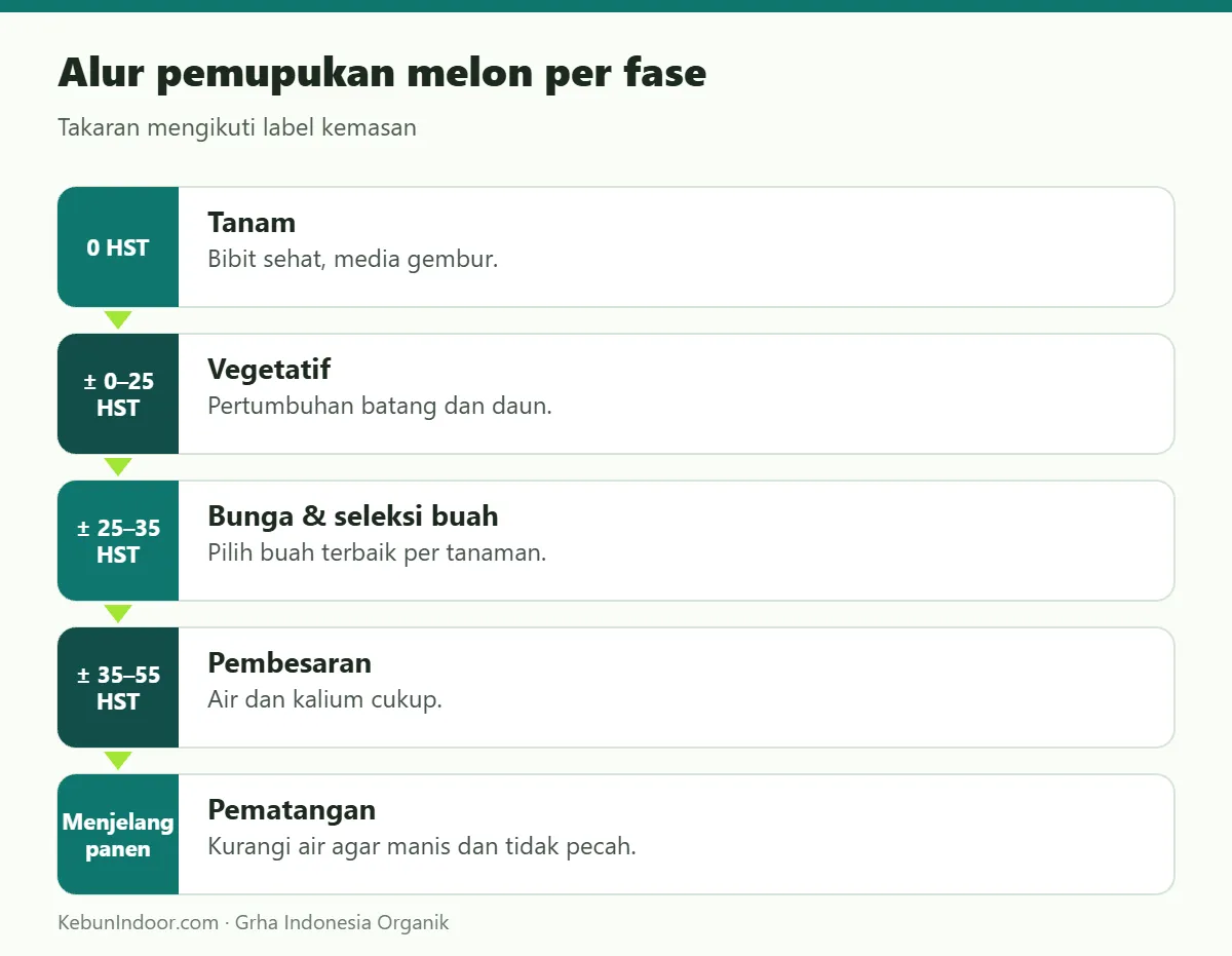 Alur pemupukan melon dengan POC Ben Subur untuk Melon