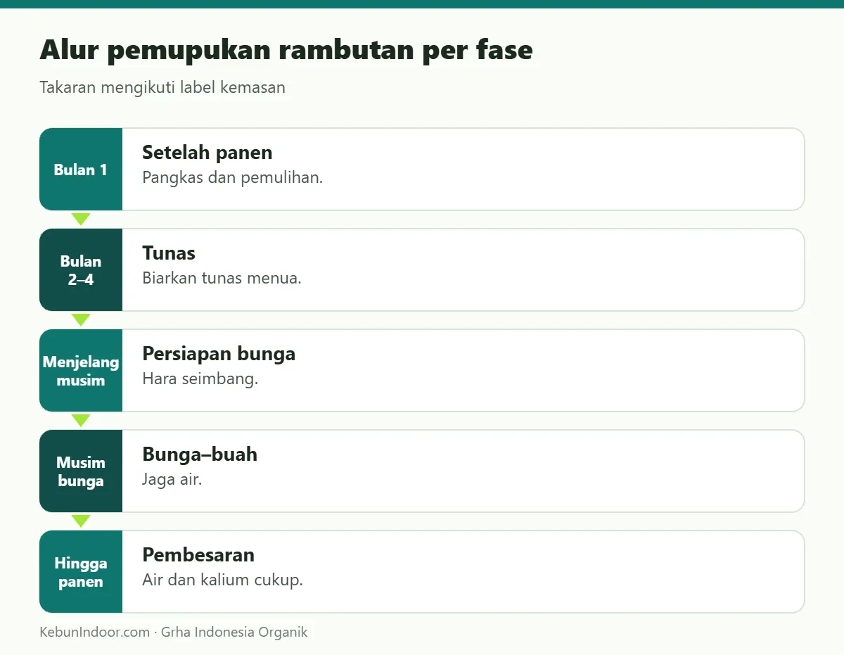 Alur pemupukan rambutan dengan POC Ben Subur untuk Rambutan