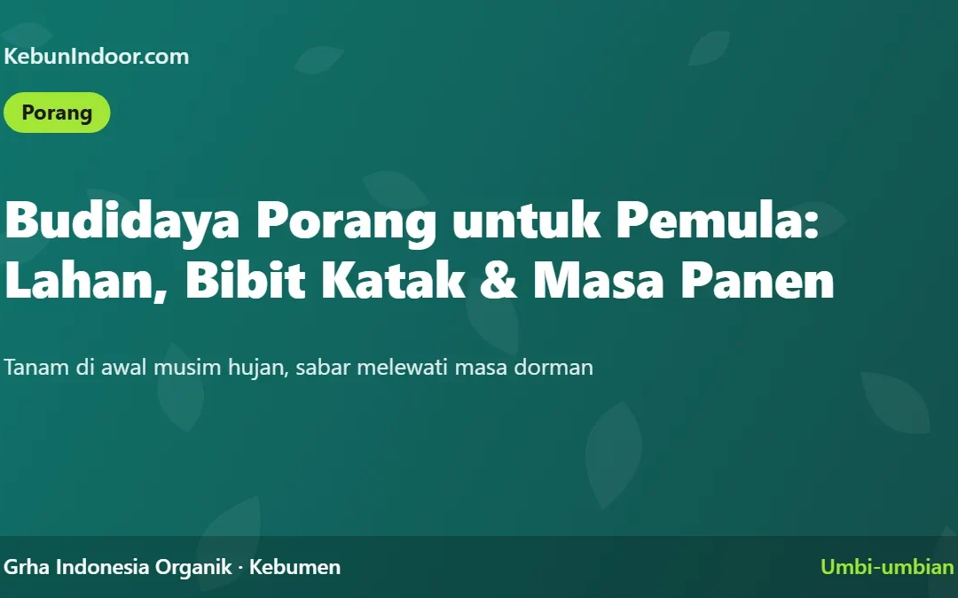 Budidaya Porang untuk Pemula: Lahan, Bibit Katak, dan Masa Panen