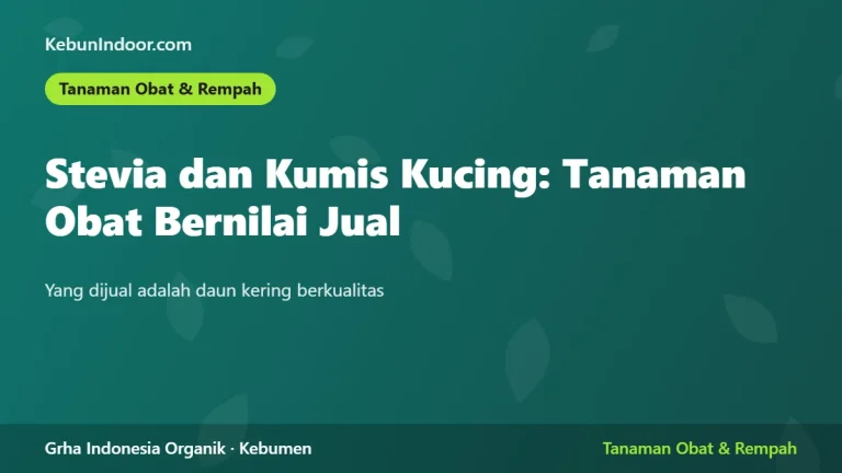 Stevia dan Kumis Kucing: Tanaman Obat Bernilai Jual