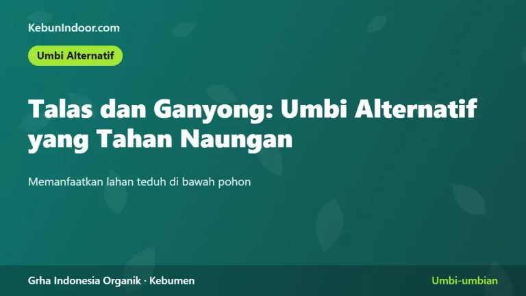 Talas dan Ganyong: Umbi Alternatif yang Tahan Naungan
