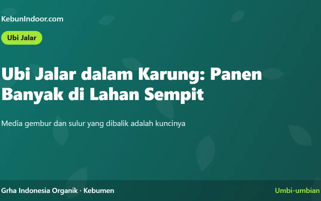Ubi Jalar dalam Karung: Panen Banyak di Lahan Sempit