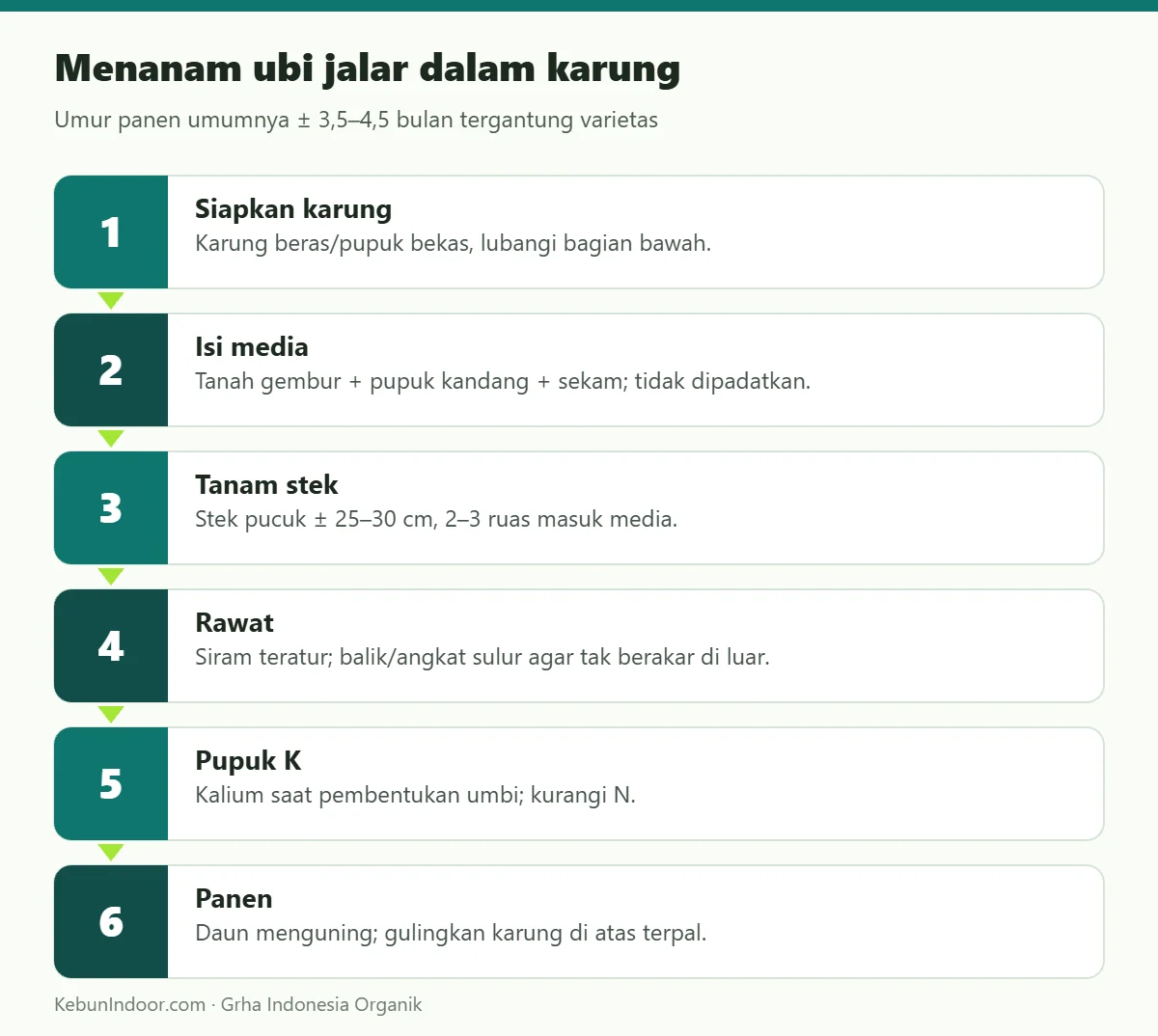 Menanam ubi jalar dalam karung