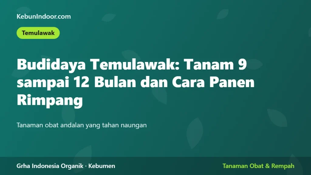 Budidaya Temulawak: Tanam 9 sampai 12 Bulan dan Cara Panen Rimpang