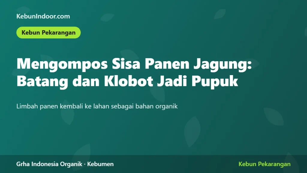 Mengompos Sisa Panen Jagung: Batang dan Klobot Jadi Pupuk