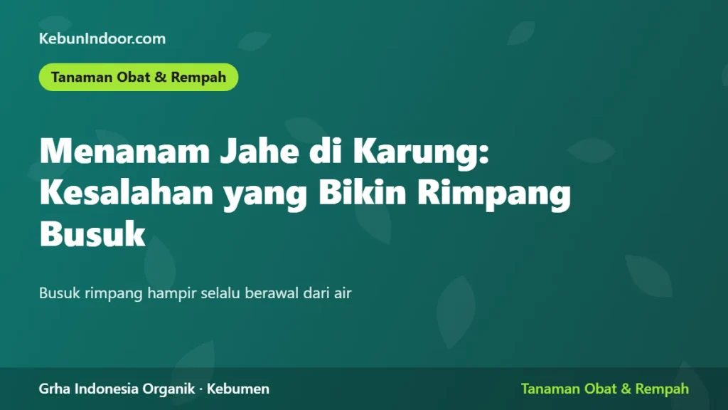 Menanam Jahe di Karung: Kesalahan yang Bikin Rimpang Busuk