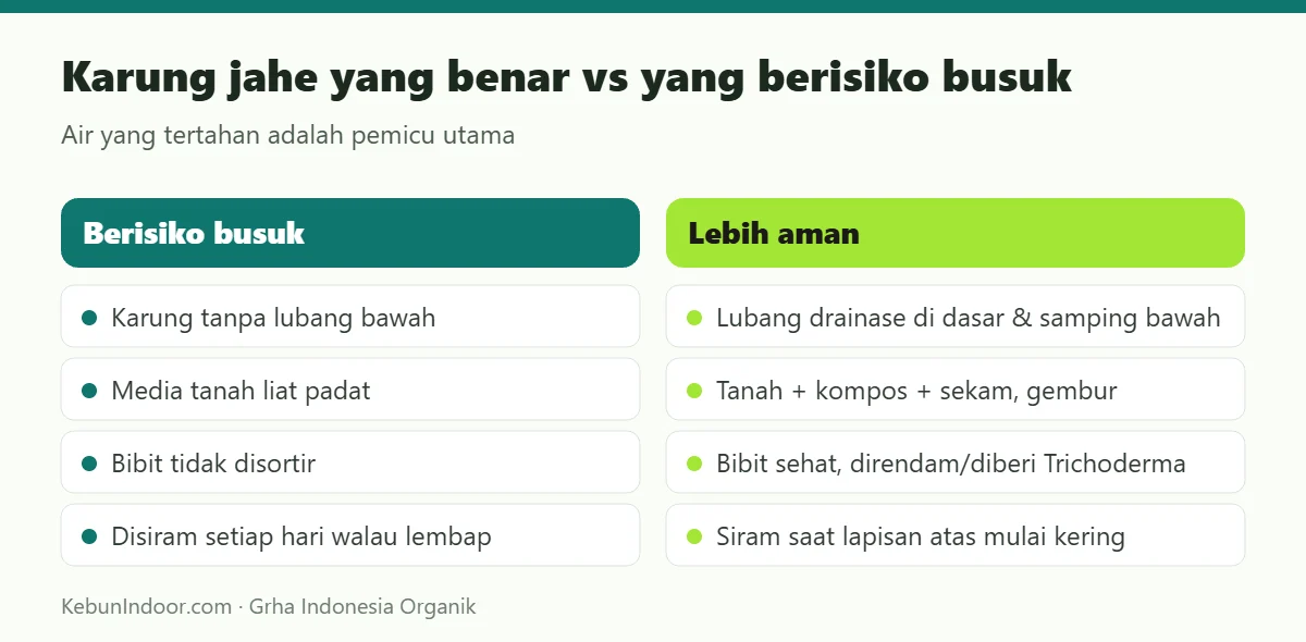 Karung jahe yang benar vs yang berisiko busuk