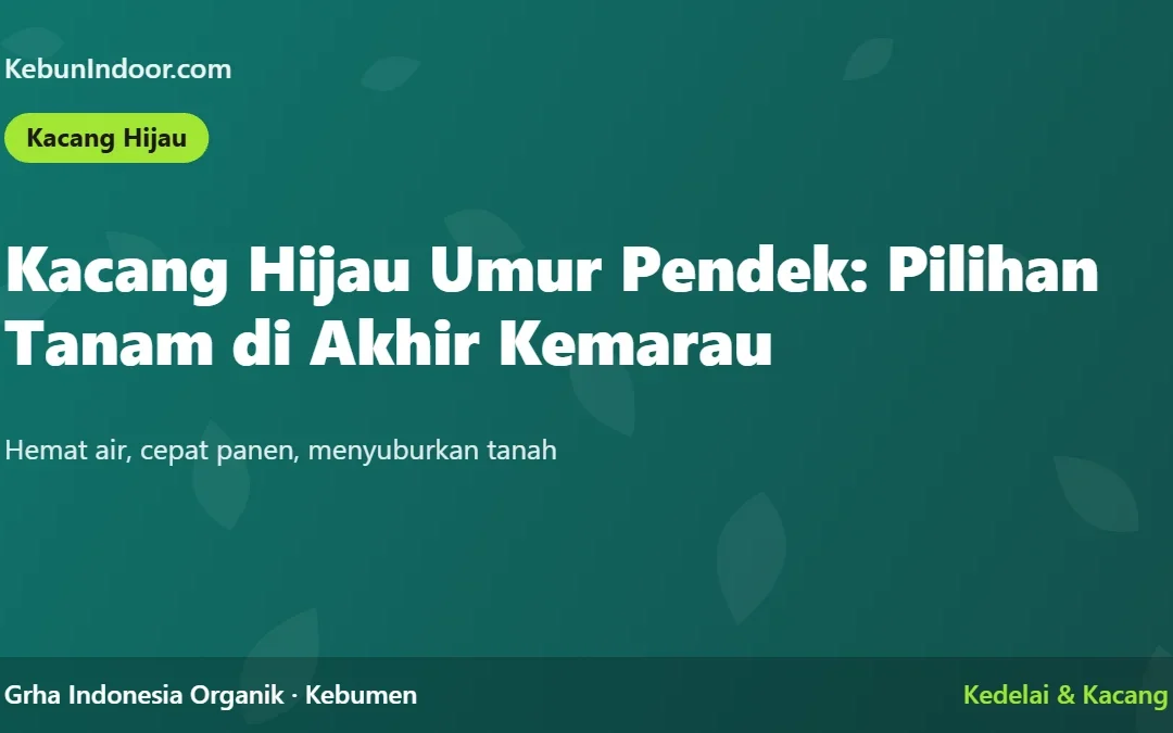 Kacang Hijau Umur Pendek: Pilihan Tanam di Akhir Kemarau