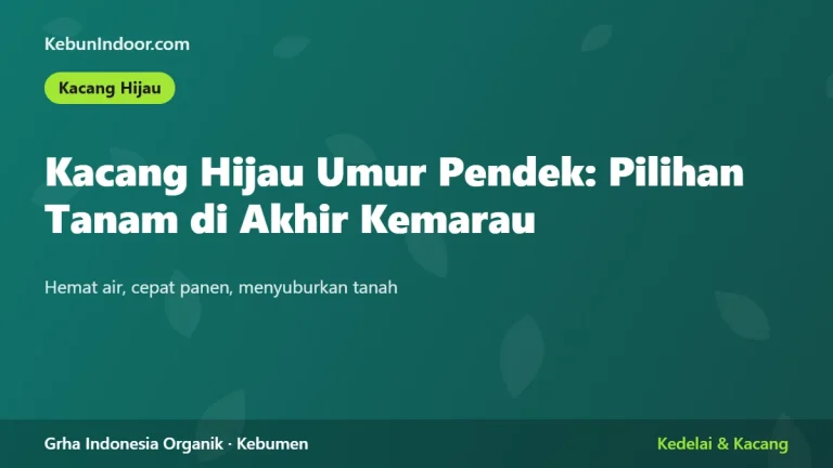 Kacang Hijau Umur Pendek: Pilihan Tanam di Akhir Kemarau