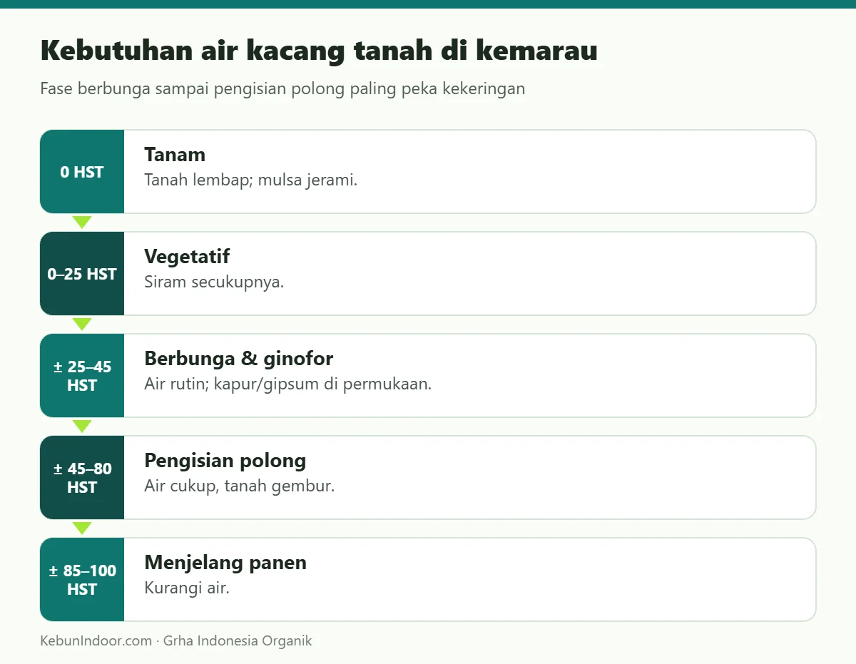 Kebutuhan air kacang tanah di kemarau