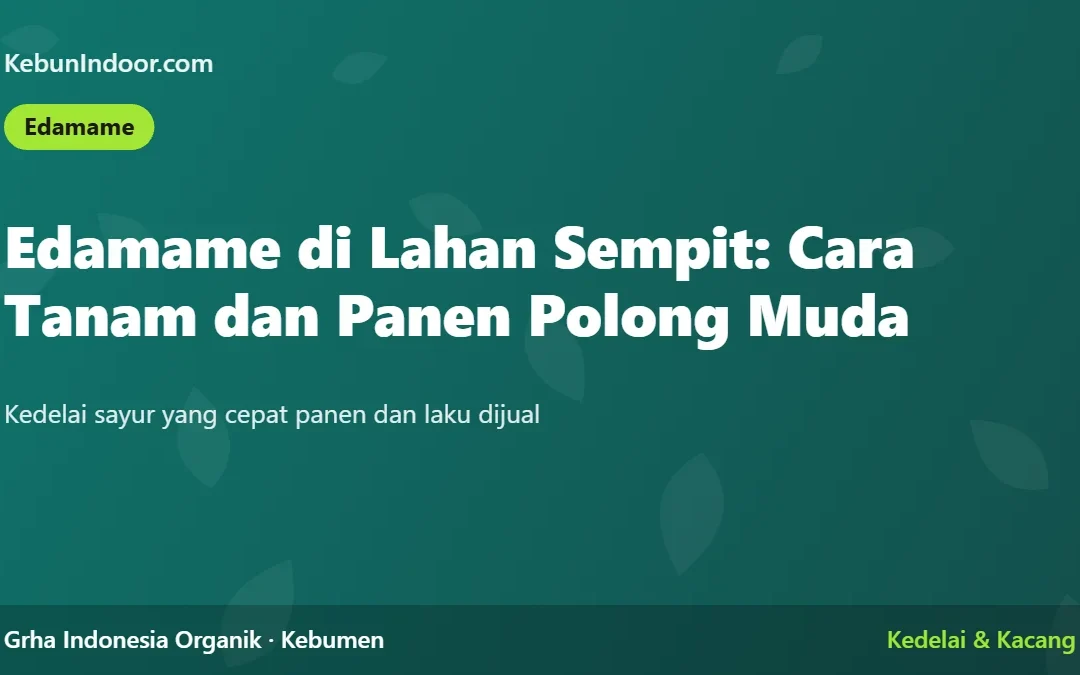 Edamame di Lahan Sempit: Cara Tanam dan Panen Polong Muda