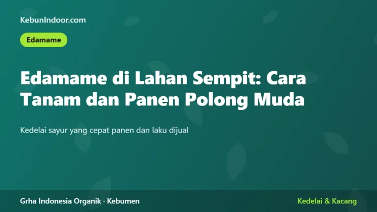 Edamame di Lahan Sempit: Cara Tanam dan Panen Polong Muda