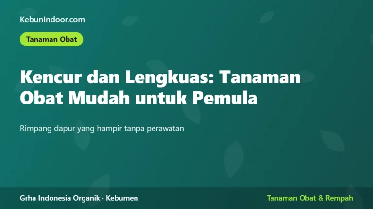 Kencur dan Lengkuas: Tanaman Obat Mudah untuk Pemula