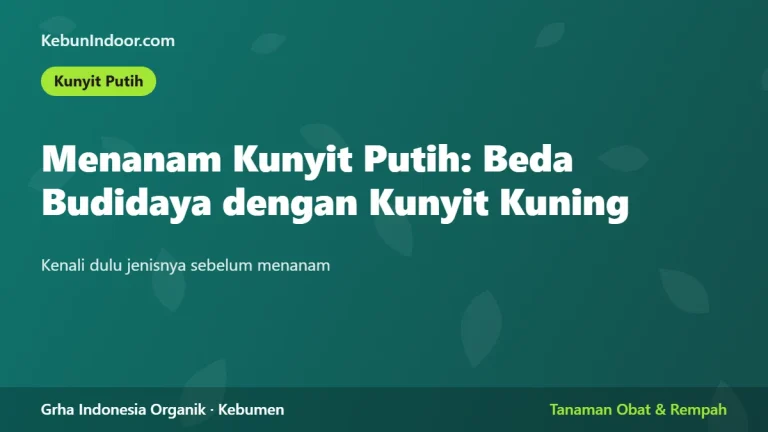 Menanam Kunyit Putih: Beda Budidaya dengan Kunyit Kuning