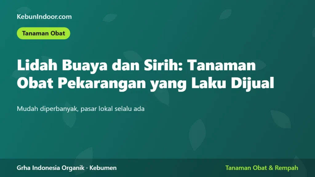 Lidah Buaya dan Sirih: Tanaman Obat Pekarangan yang Laku Dijual