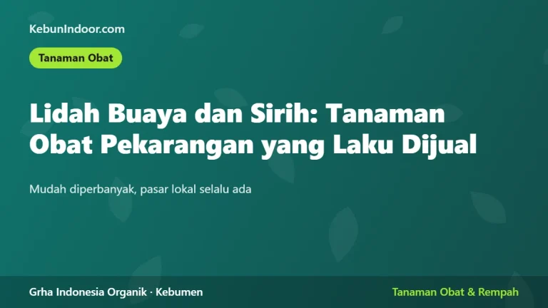 Lidah Buaya dan Sirih: Tanaman Obat Pekarangan yang Laku Dijual