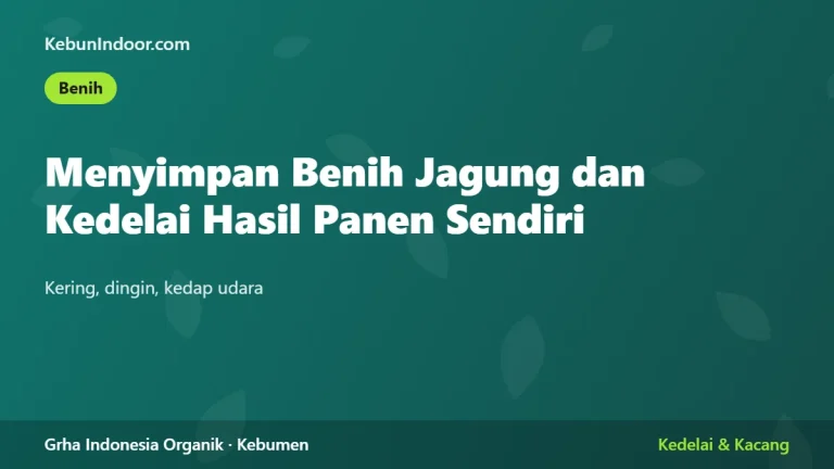 Menyimpan Benih Jagung dan Kedelai Hasil Panen Sendiri