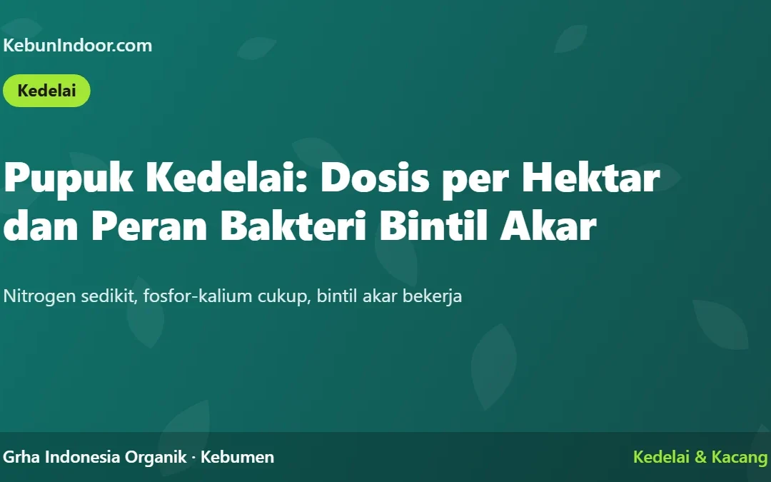 Pupuk Kedelai: Dosis per Hektar dan Peran Bakteri Bintil Akar