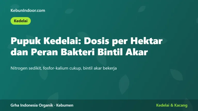 Pupuk Kedelai: Dosis per Hektar dan Peran Bakteri Bintil Akar