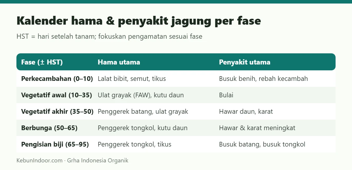Kalender hama & penyakit jagung per fase