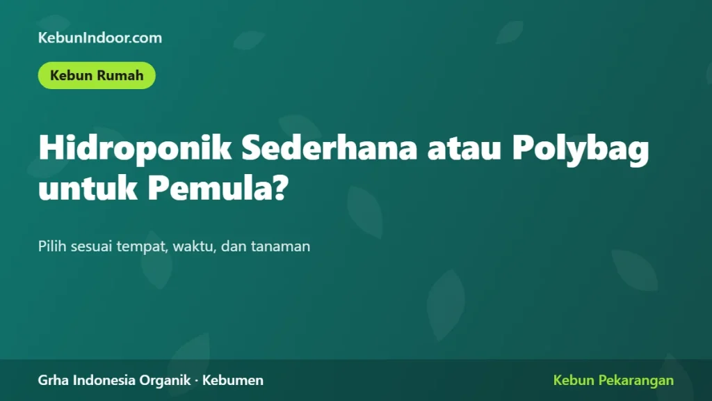 Hidroponik Sederhana atau Polybag untuk Pemula: Biaya dan Hasil