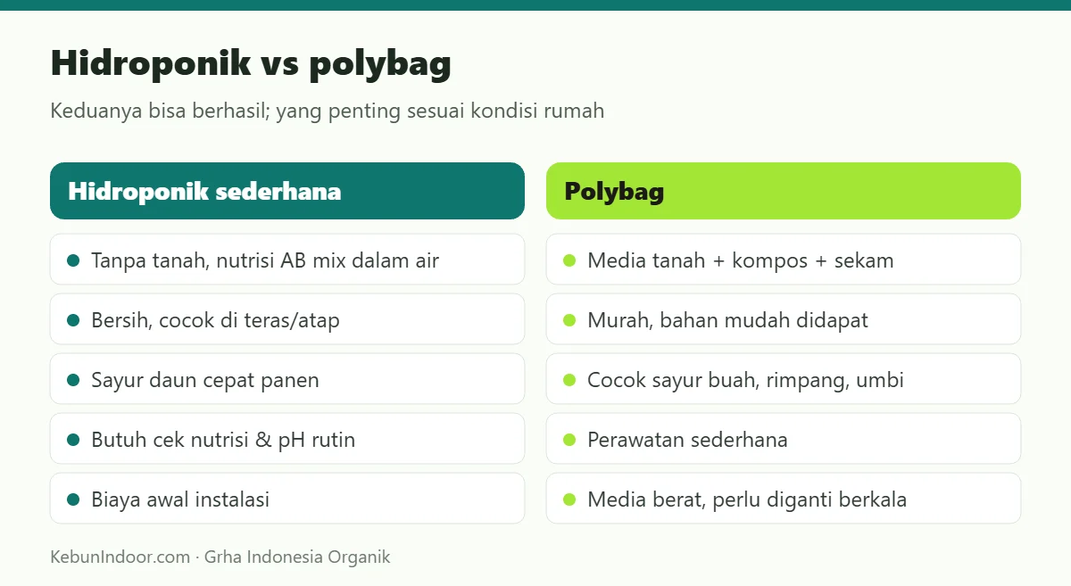 Hidroponik vs polybag