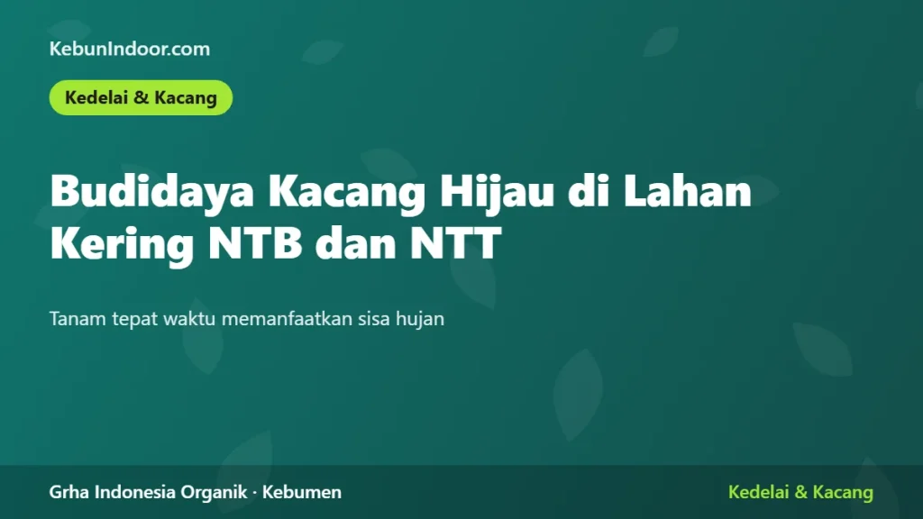 Budidaya Kacang Hijau di Lahan Kering NTB dan NTT