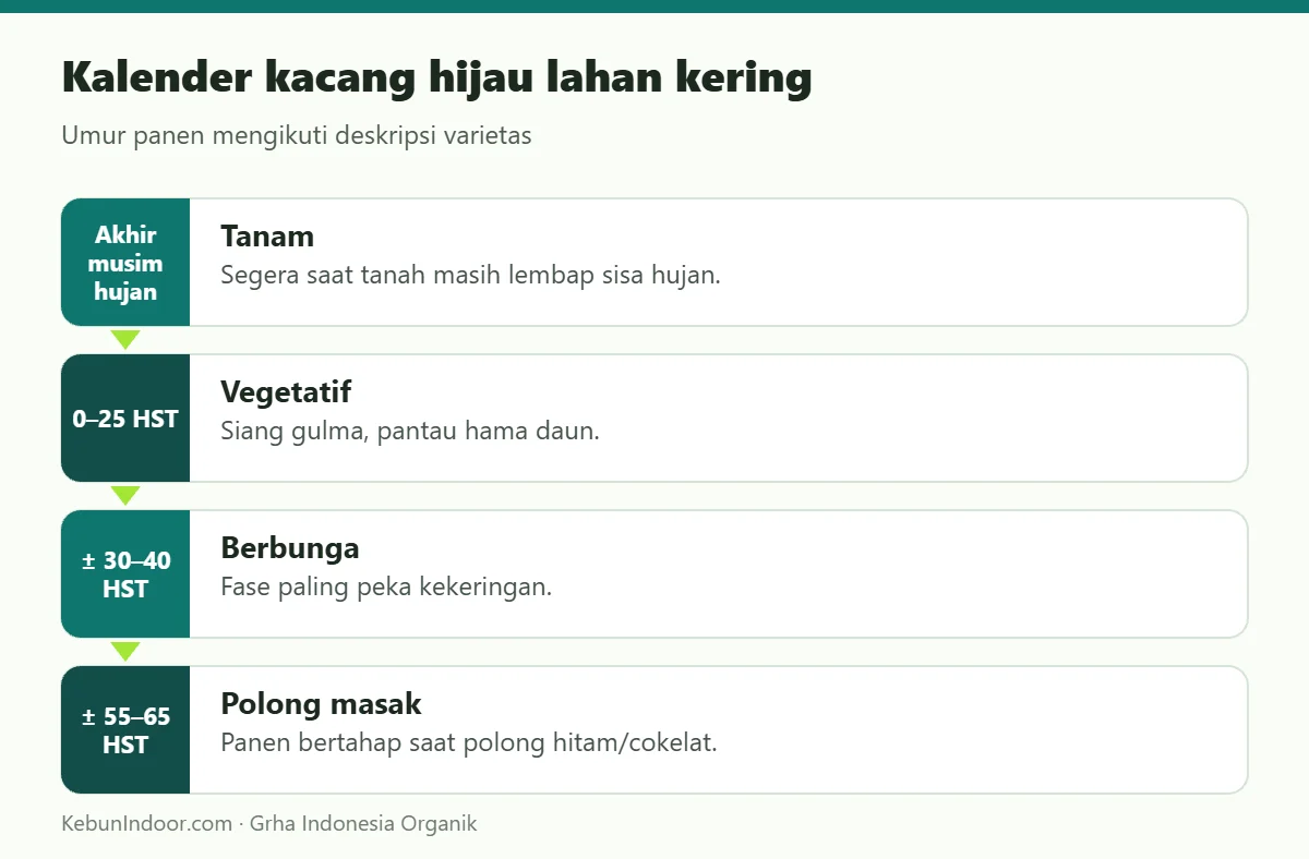 Kalender kacang hijau lahan kering