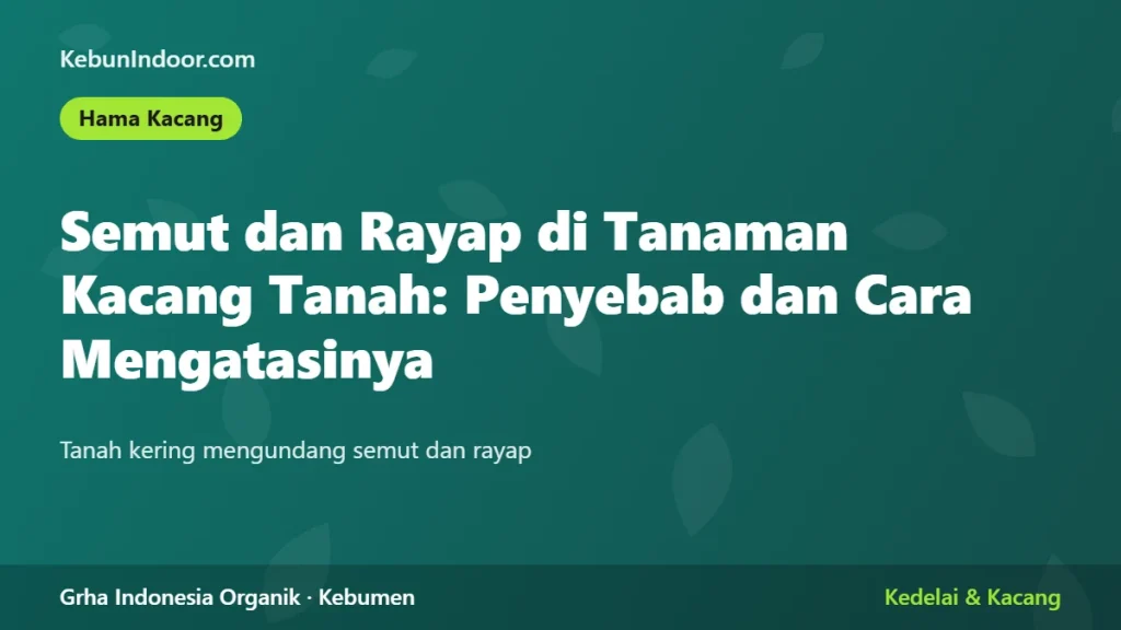 Semut dan Rayap di Tanaman Kacang Tanah: Penyebab dan Cara Mengatasinya