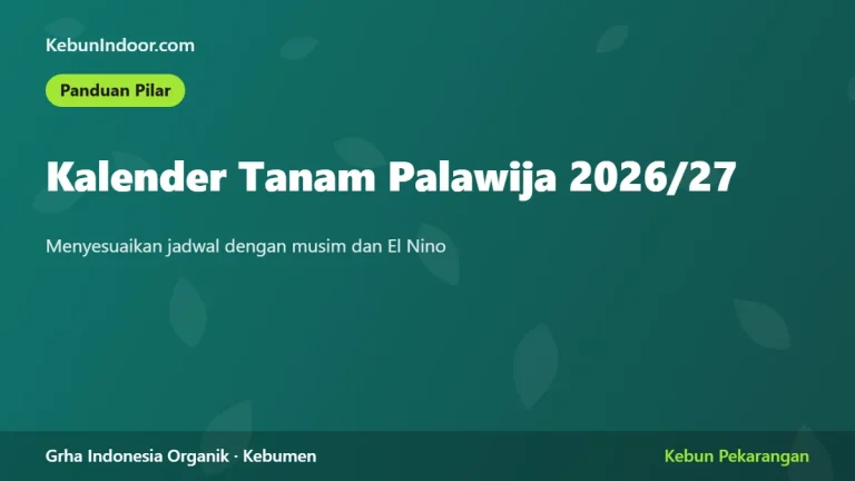 Kalender Tanam Palawija 2026/27: Menyesuaikan dengan El Nino dan Awal Musim Hujan
