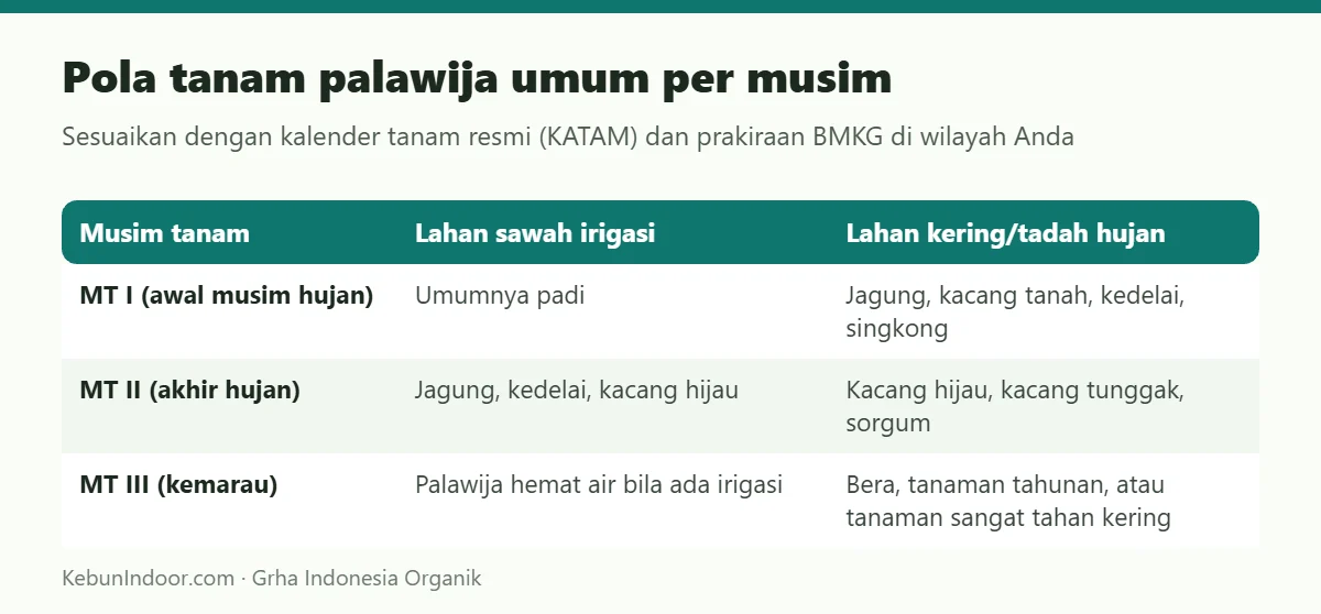 Pola tanam palawija umum per musim